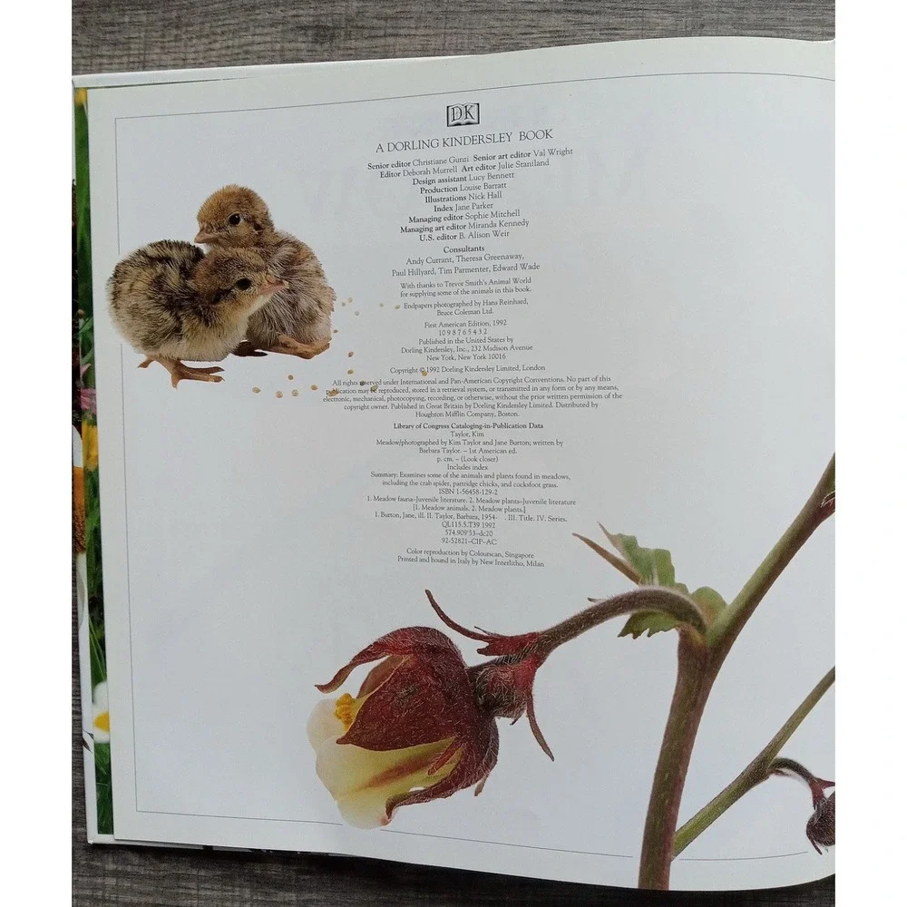 Meadow (Look Closer) Book By Barbara‎ Taylor Hardcover